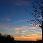 Abendhimmel mit Baum