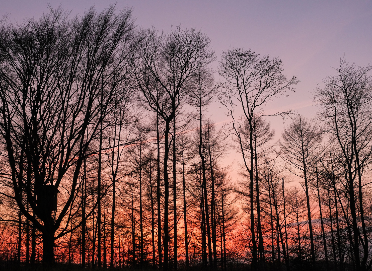 Abendhimmel mit Hochsitz