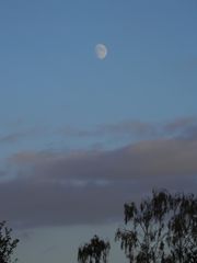 Abendhimmel mit Mond über Münster