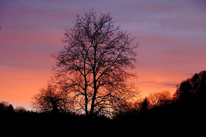 Abendhimmel über Attelwil/AG