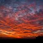 Abendhimmel über dem Elm