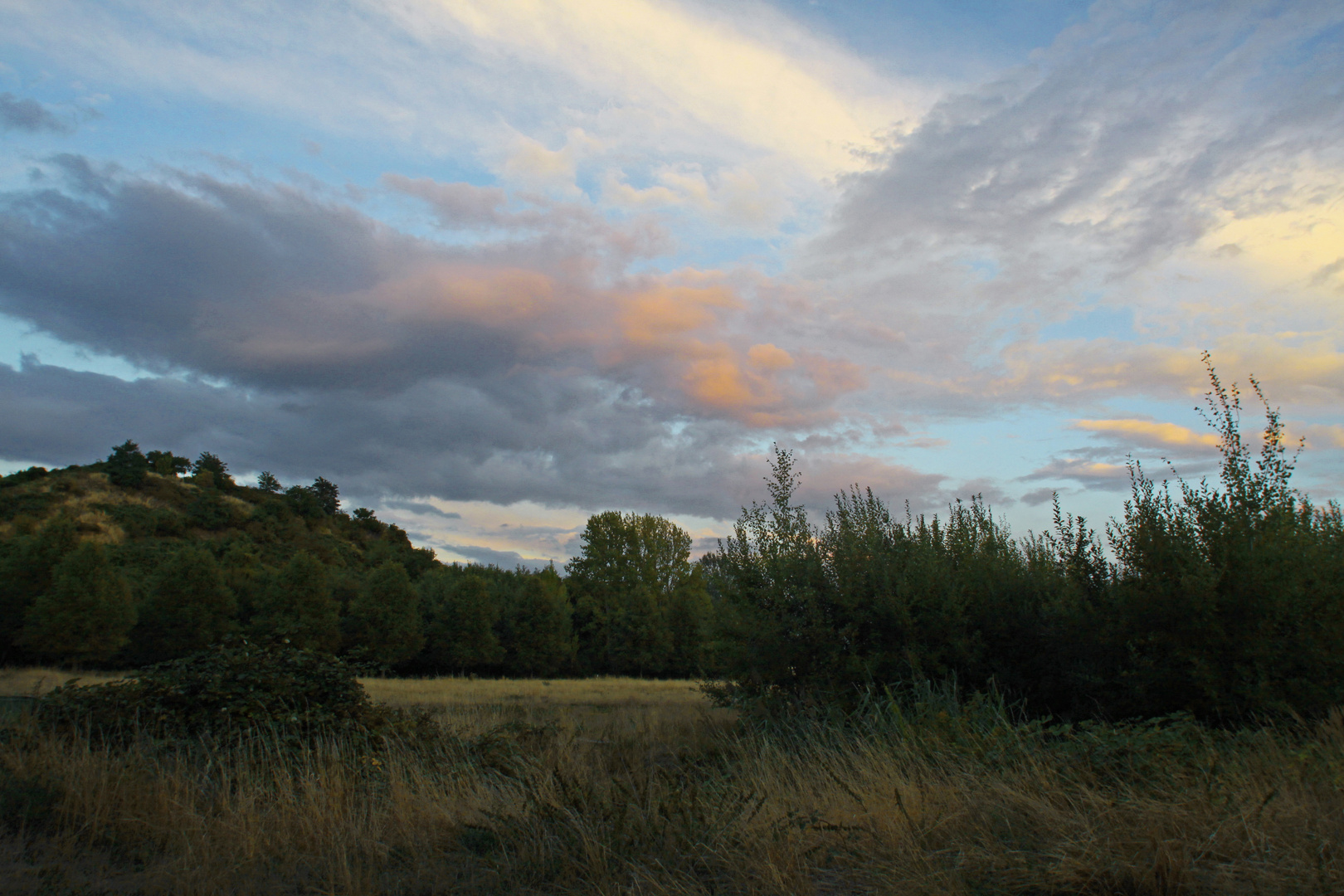 Abendhimmel über dem Grasland