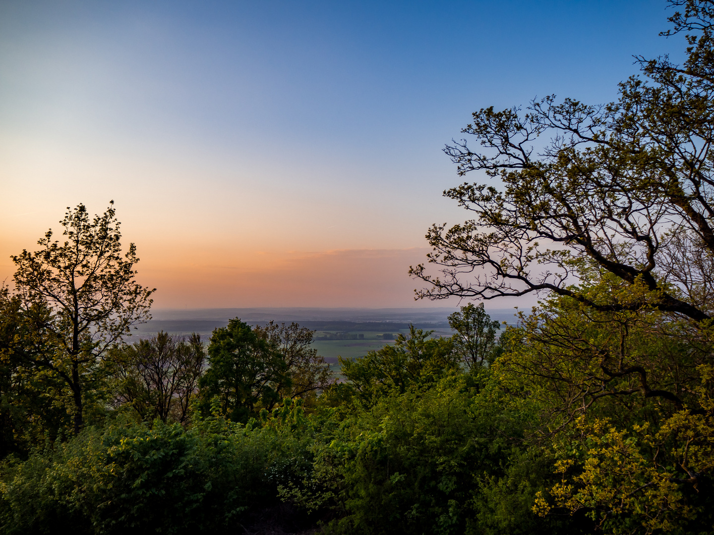 Abendhimmel über dem Maintal