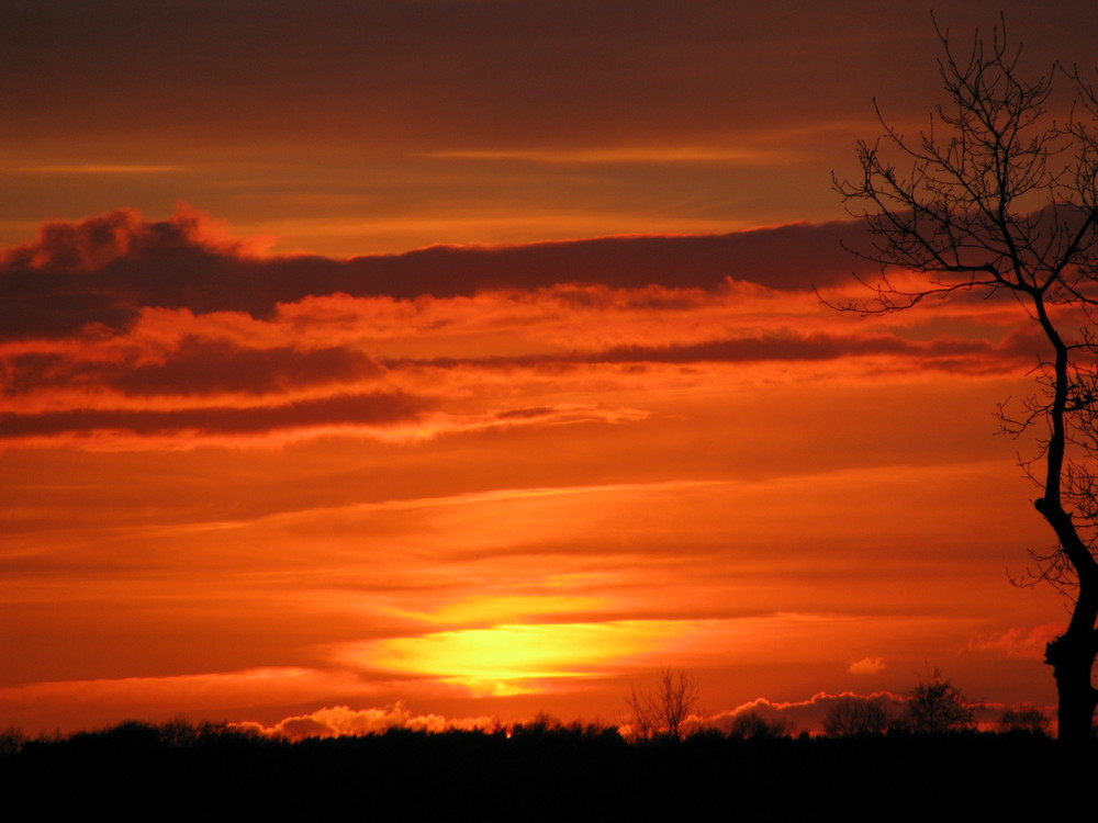 Abendhimmel über den "Rhader Bruchwiesen"