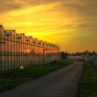 Abendhimmel über der Insel Reichenau