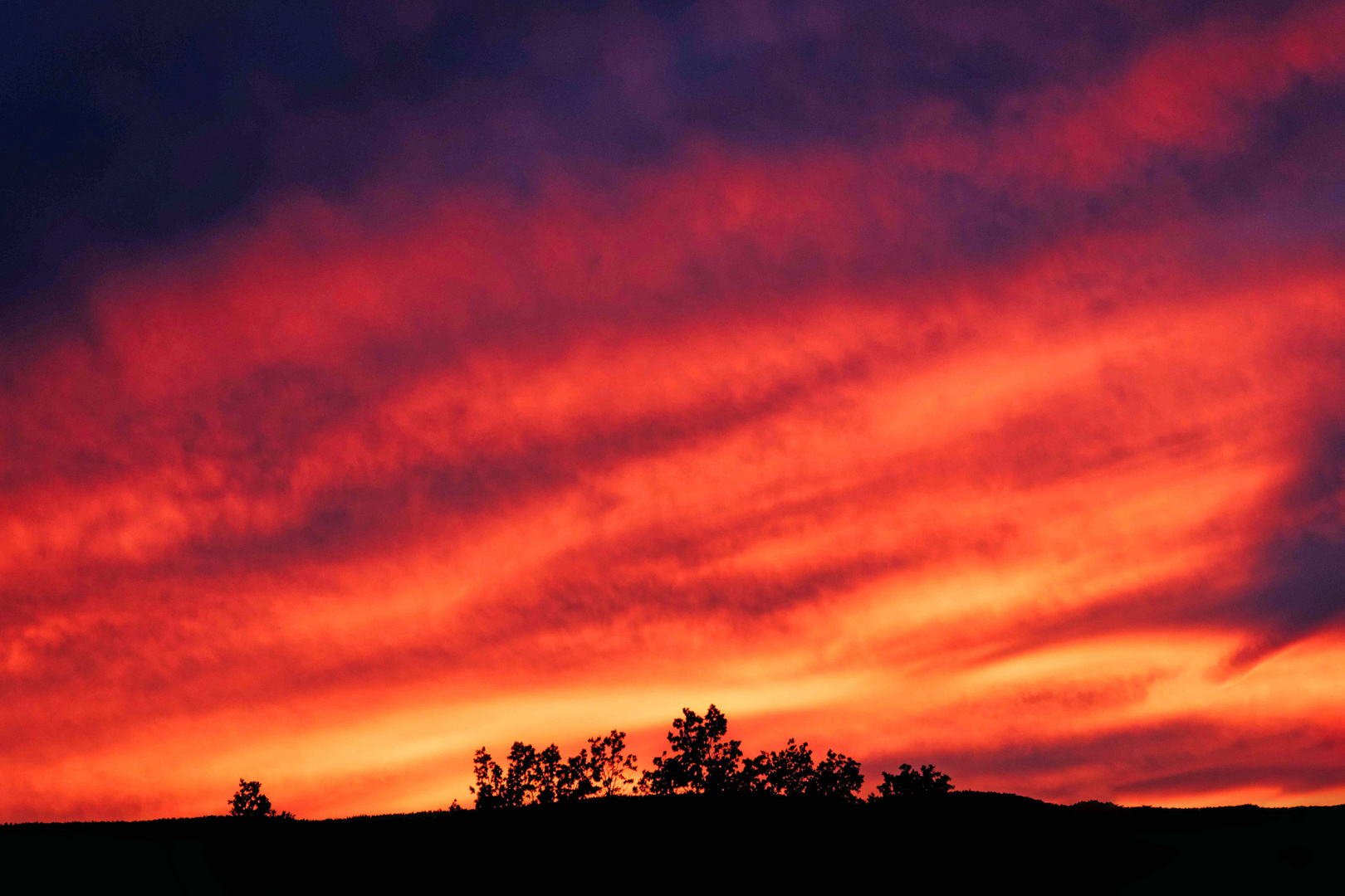 Abendhimmel über der Pfalz