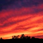 Abendhimmel über der Pfalz