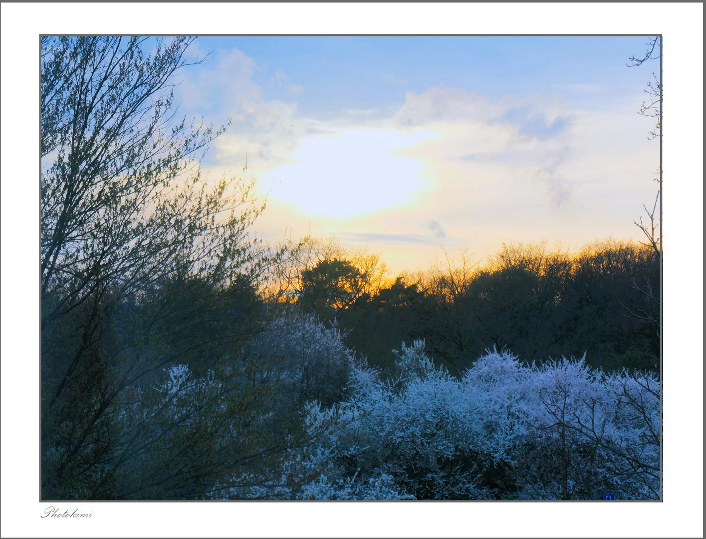 Abendhimmel über die Kirschblüten