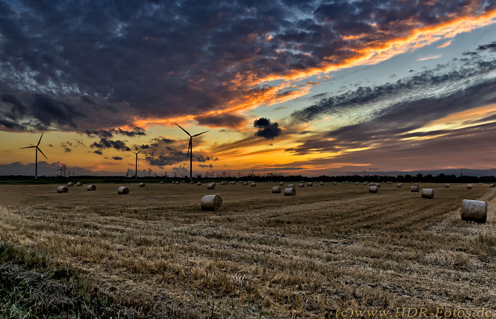 Abendhimmel über einem Feld