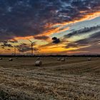 Abendhimmel über einem Feld