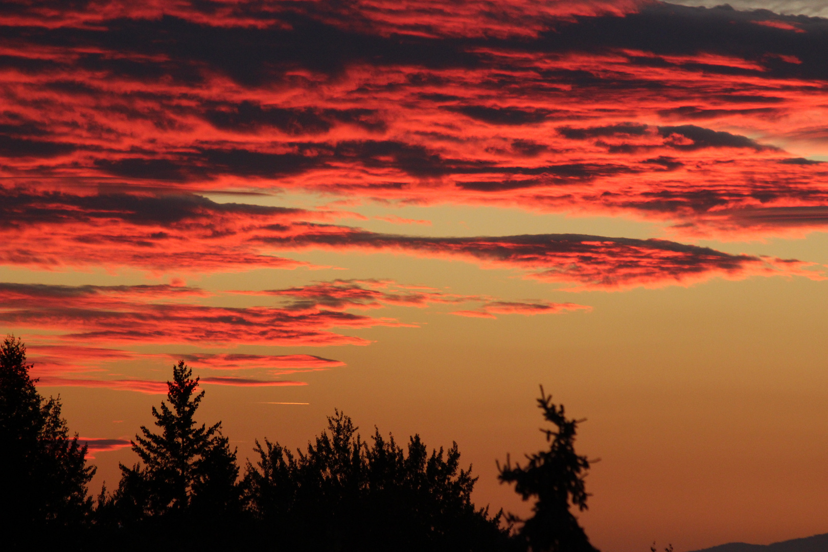 Abendhimmel über Freiburg