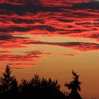 Abendhimmel über Freiburg