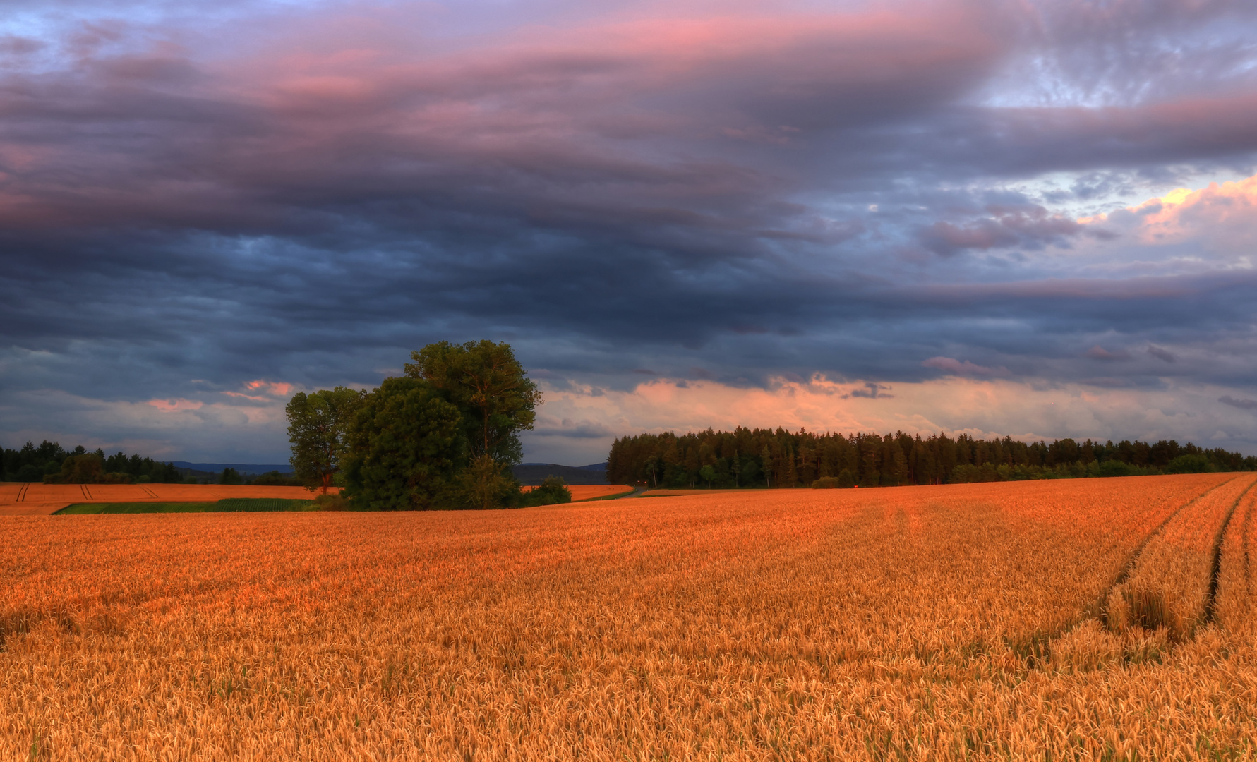 Abendhimmel über Kornfelder