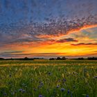 Abendhimmel über Vorpommern