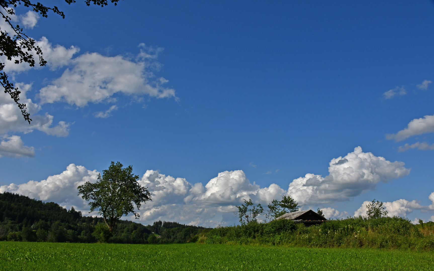 Abendhimmel zum träumen