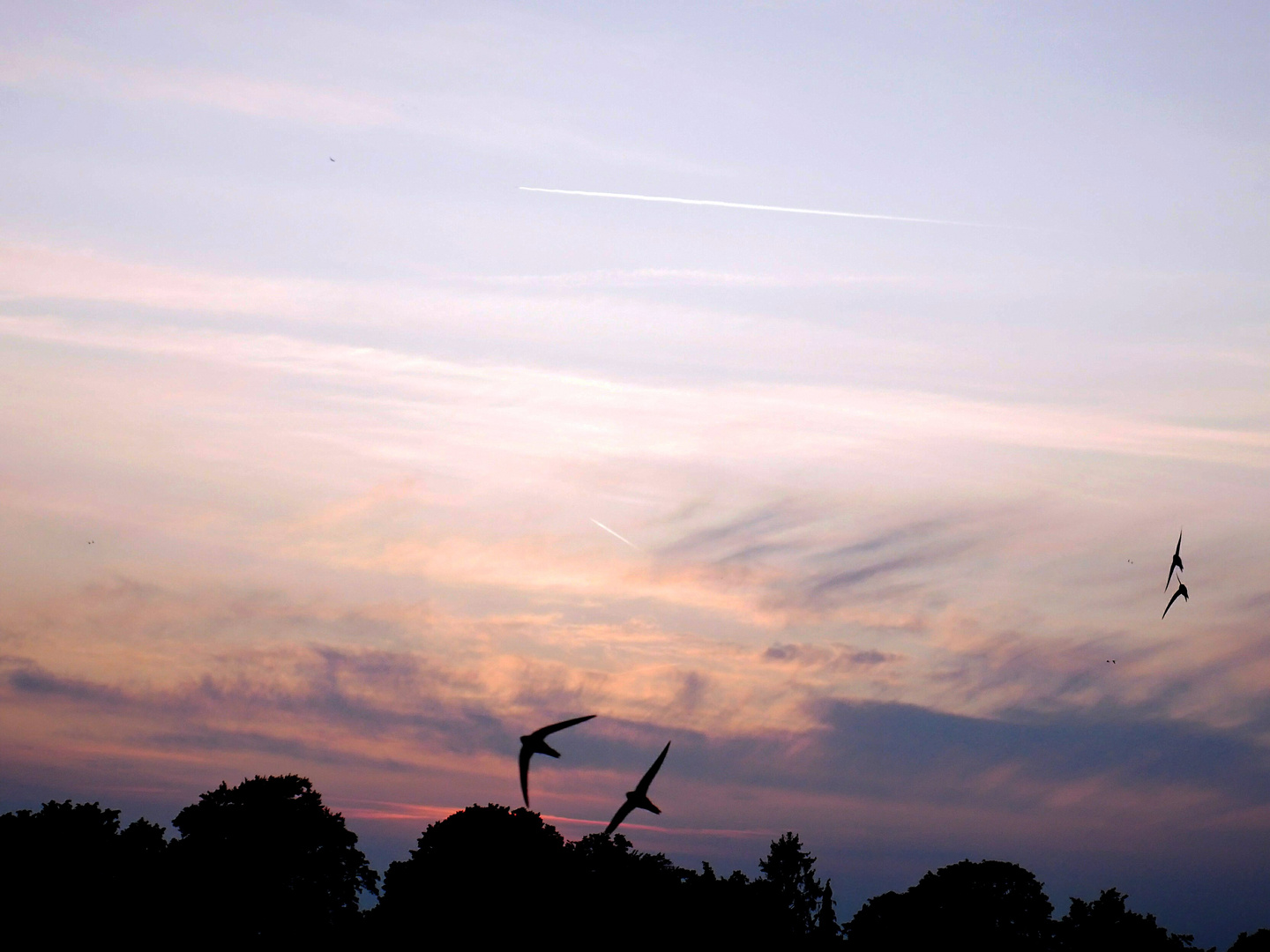 Abendhimmelgedöns vom 21.07.19