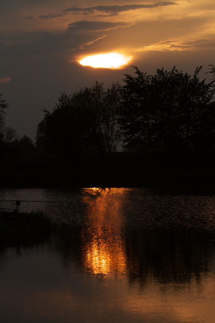 Abendidylle am Angelteich