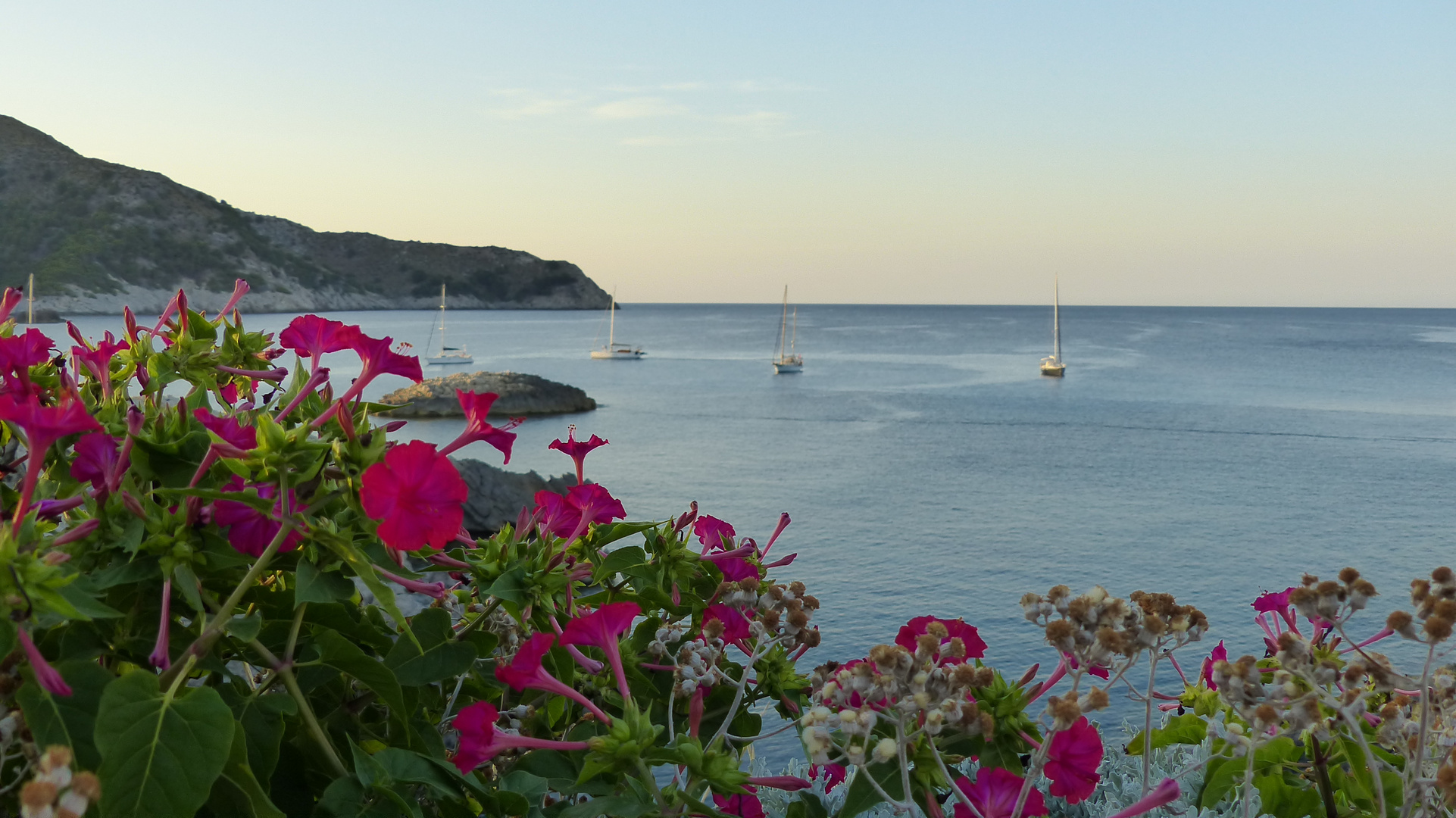 Abendidylle mit Segelbooten an der Cala Lliteras