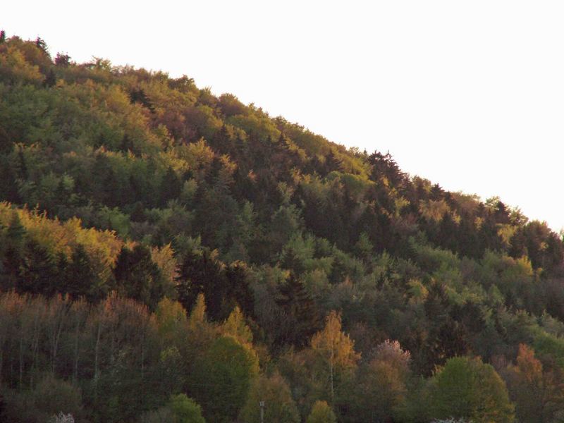 Abendimpressionen von meinem Balkon aus I