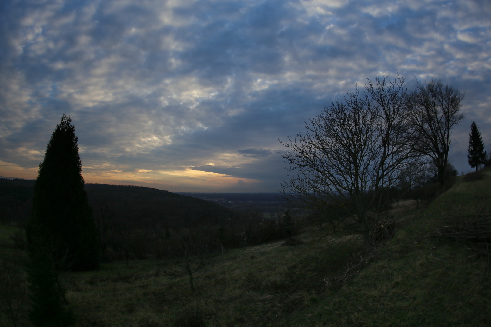 Abendkleid