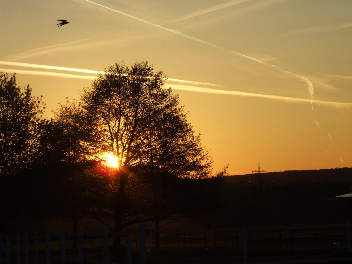 Abendlandschaft