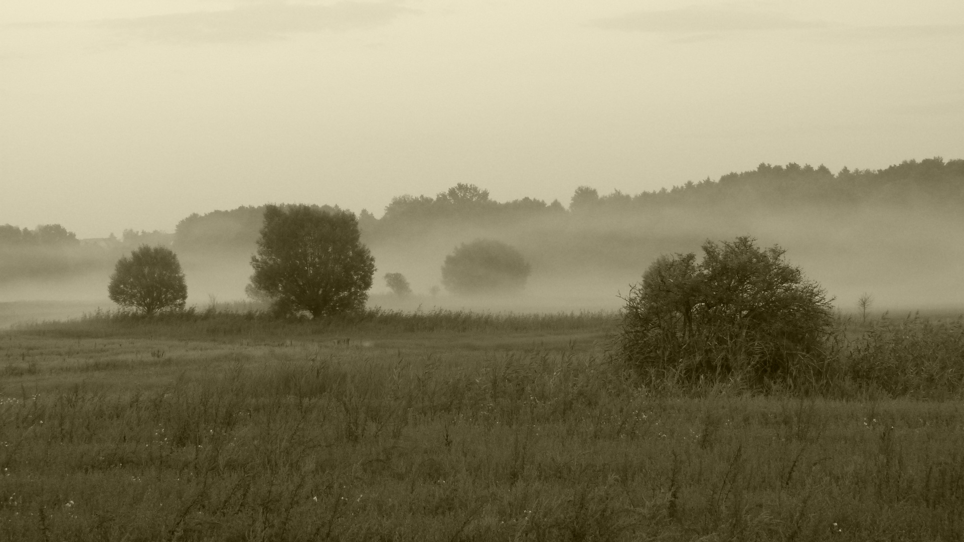 Abendlandschaft