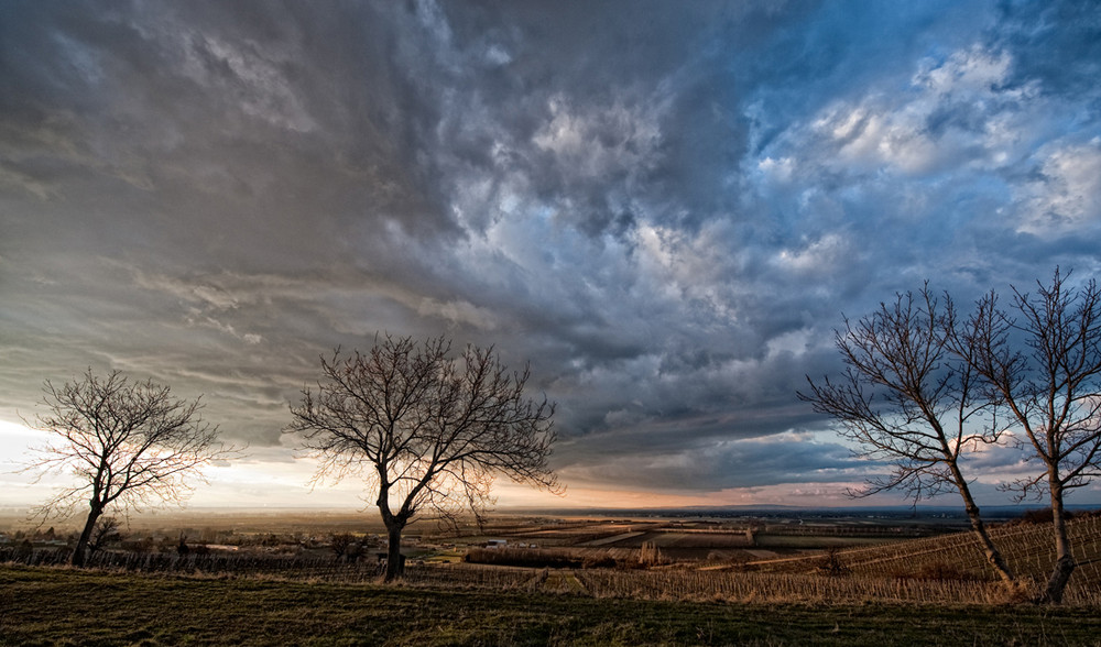 Abendlandschaft_2