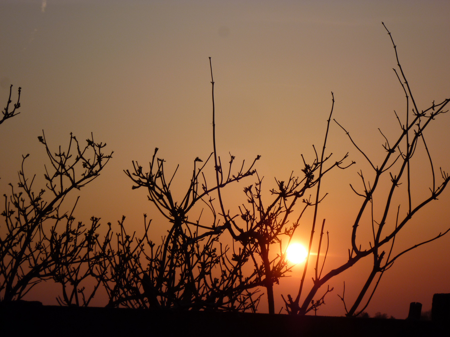 Abendlaune