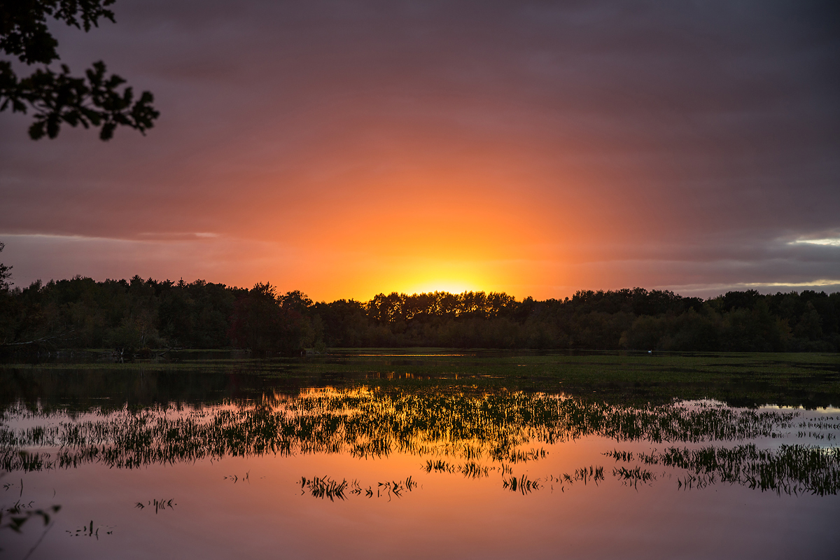 Abendleuchten ...