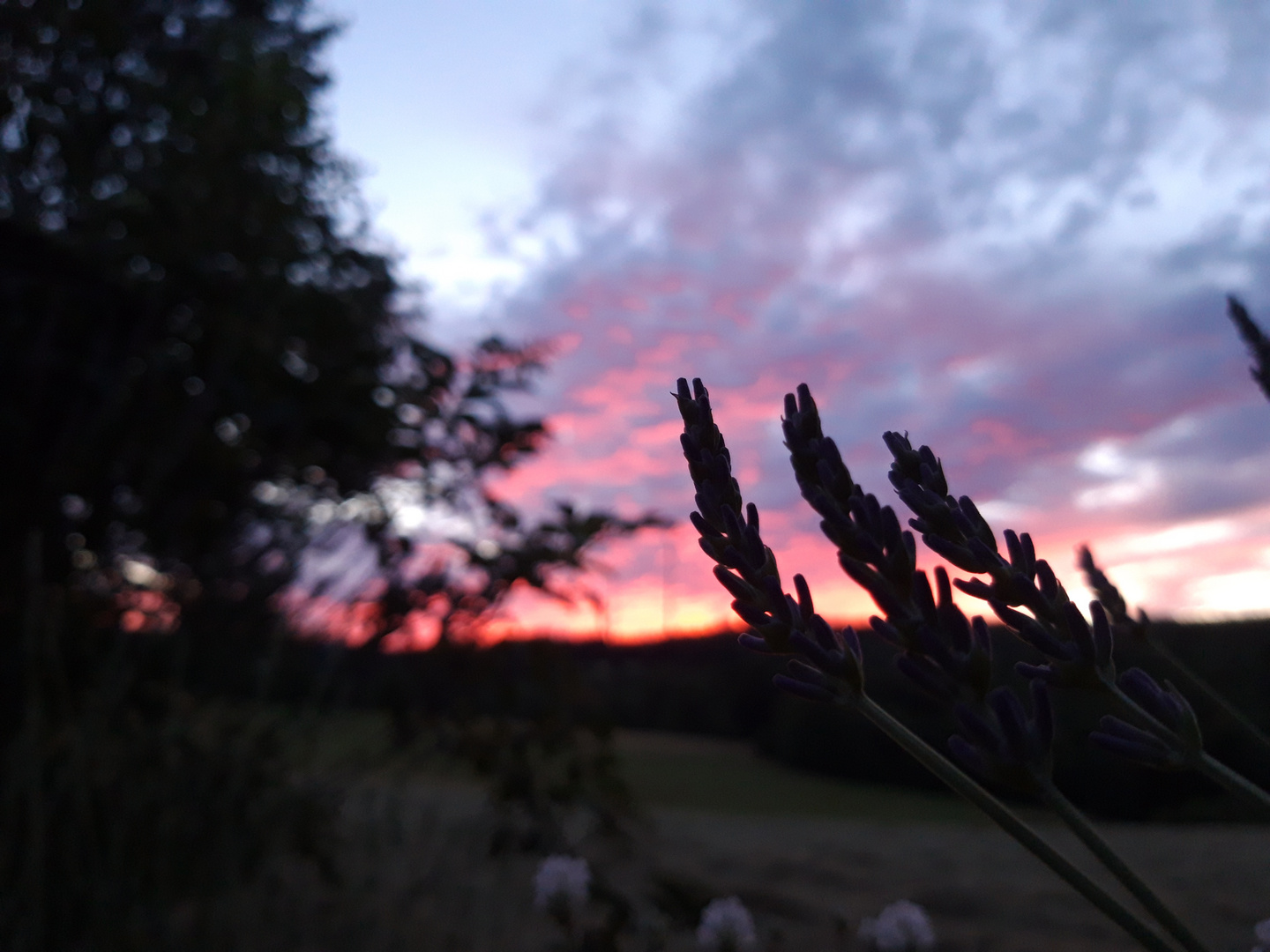 Abendleuchten