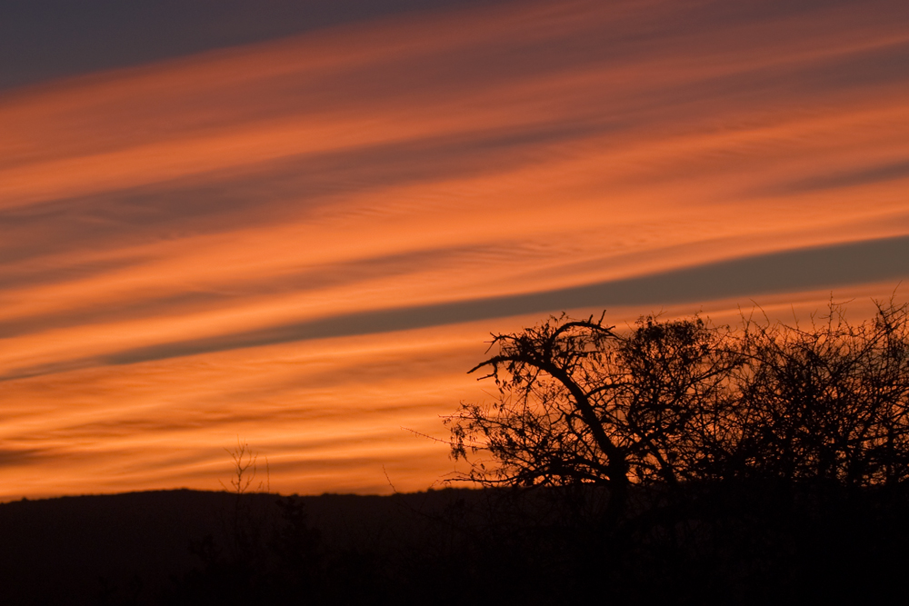 Abendleuchten