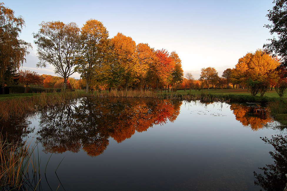 Abendleuchten am Fischteich