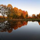 Abendleuchten am Fischteich