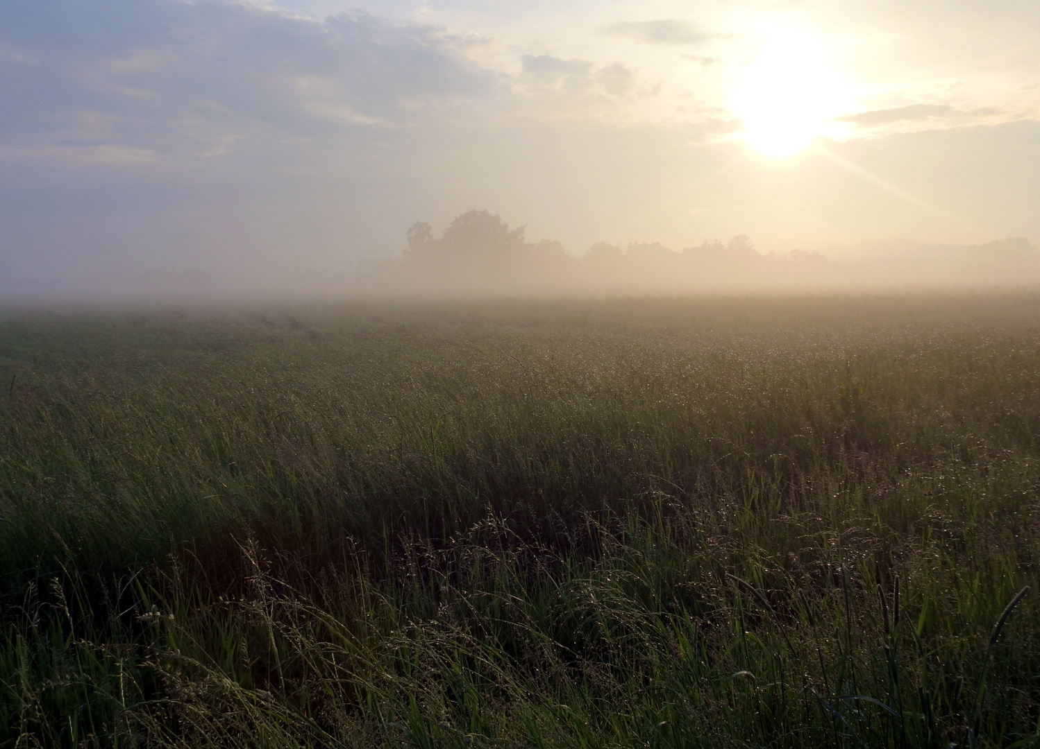 Abendleuchten durch den Dunst