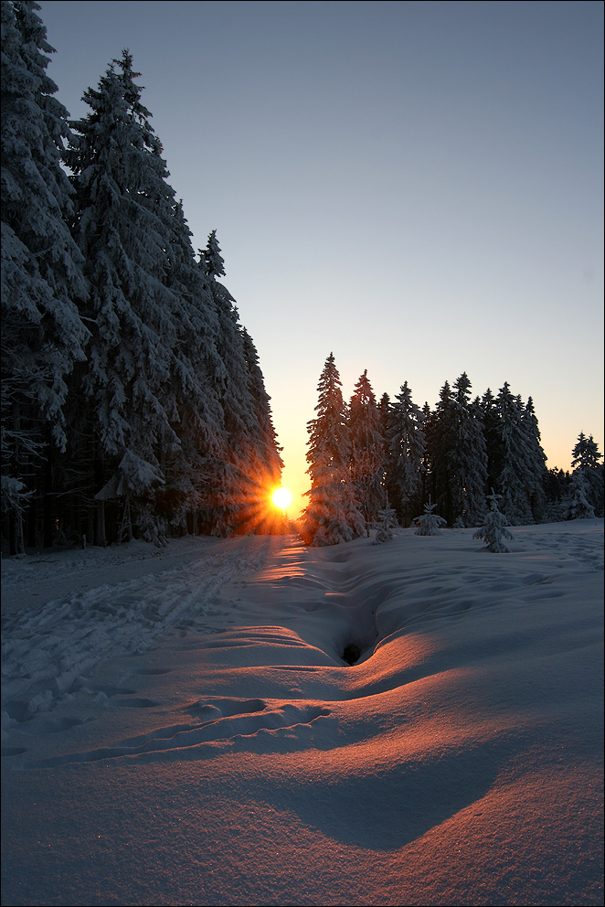 Abendleuchten im Hohen Venn II