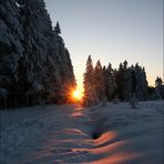 Abendleuchten im Hohen Venn II