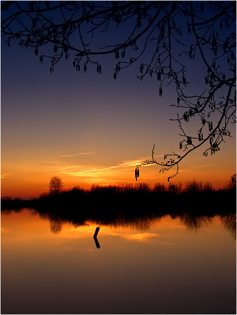 Abendleuchten........in der blauen Stunde!