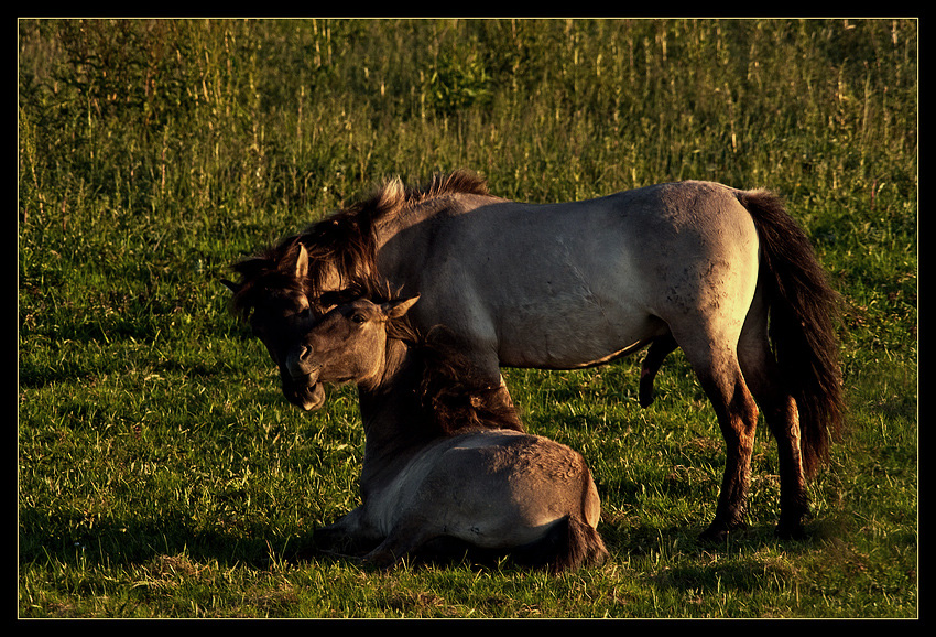 abendliche Annäherungsversuche