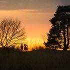 Abendliche Begegnung