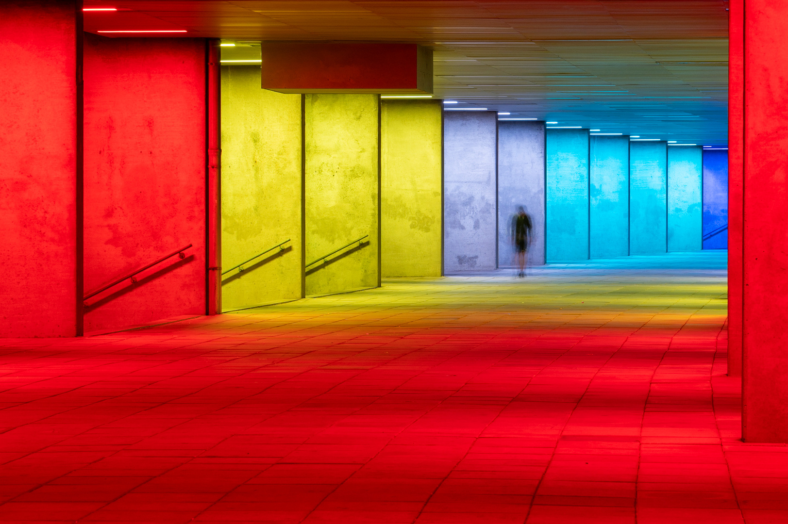 Abendliche Beleuchtung am Het nieuwe Instituut in Rotterdam