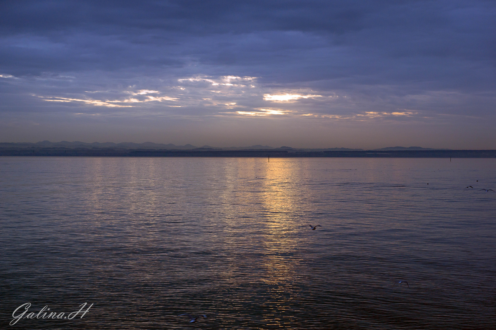 Abendliche Bodensee