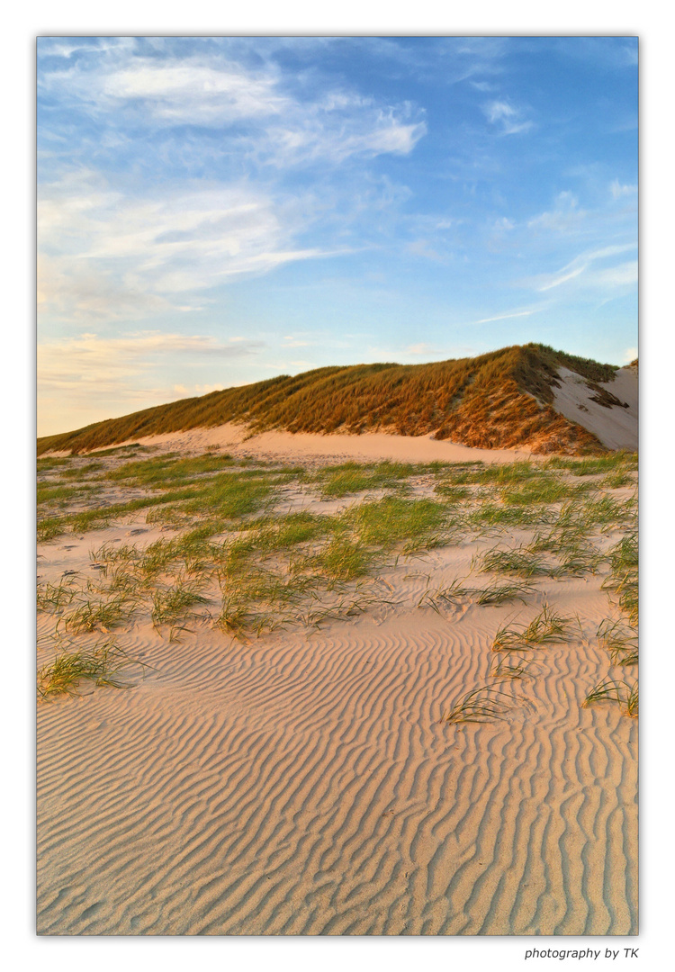 Abendliche Dünen