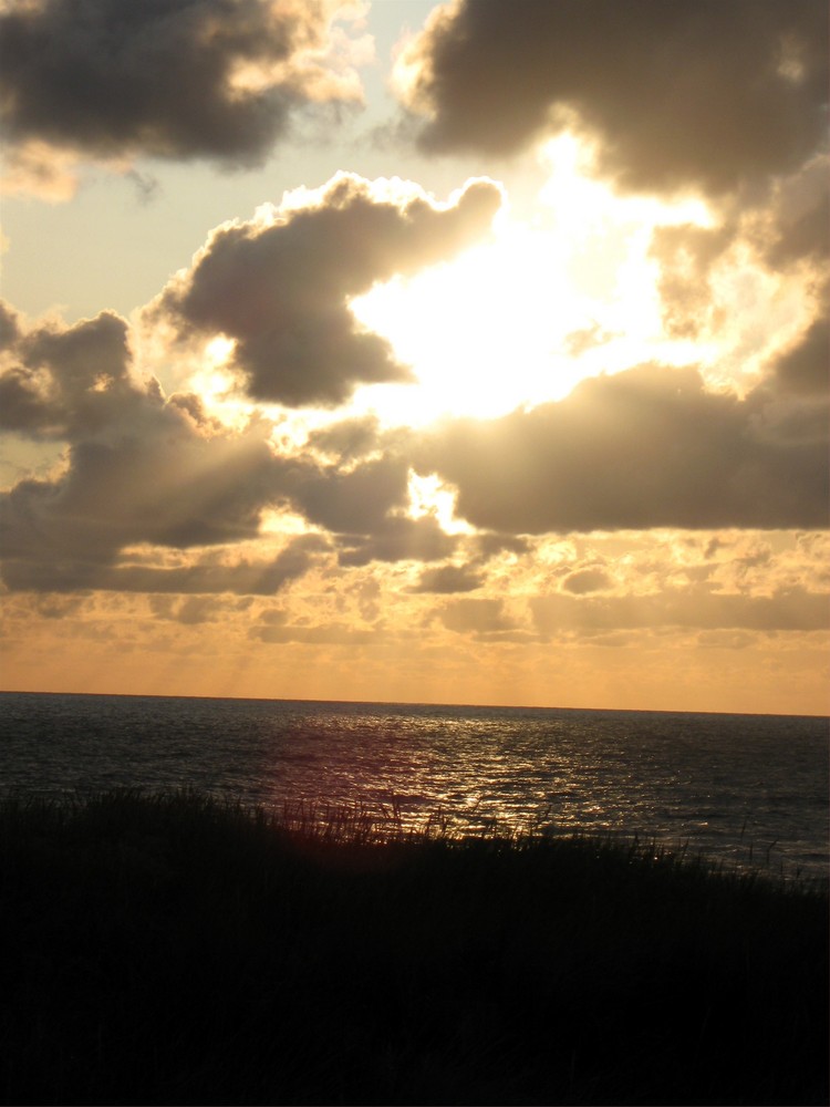 *abendliche Dünenlandschaft*