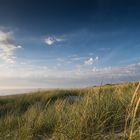 Abendliche Dünenlandschaft