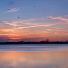 Abendliche Flugvorführungen