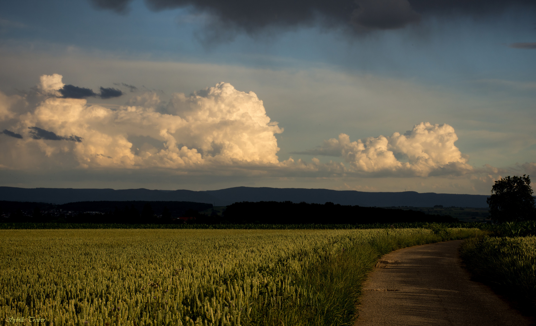 Abendliche Gewitterstimmung