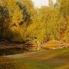 Abendliche Herbstlandschaft in der Lippeaue bei Lippetal