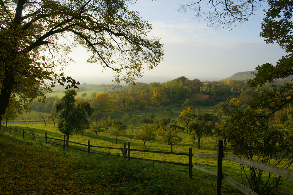 Abendliche Herbststimmung