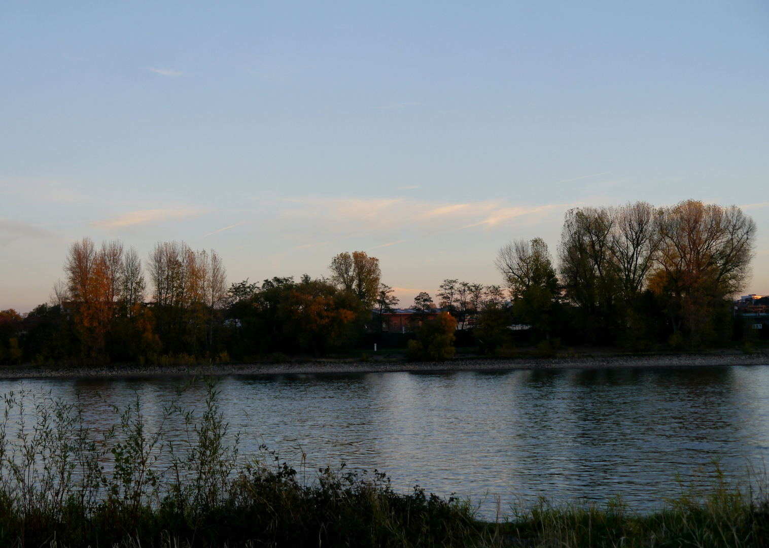 Abendliche Herbststimmung am Rhein