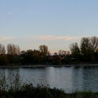 Abendliche Herbststimmung am Rhein